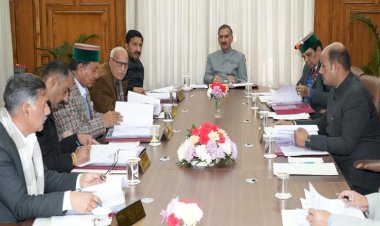 H.P. Cabinet Decision