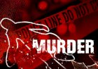 Three Arrested in Double murder case in Bilsapur, theft stock confiscated
