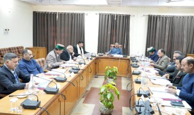 HP Cabinet Decisions