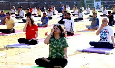 Shoolini University to host Yoga countdown celebrations