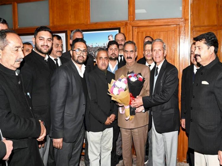 Delegation of Bar Association Theog meets Chief Minister